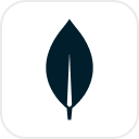 MongoDB Atlas