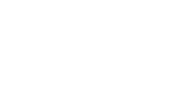 Zoom logo